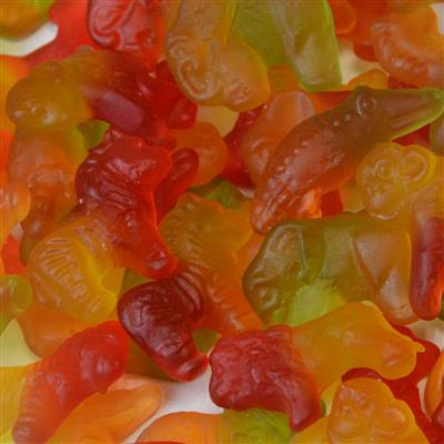 Safari