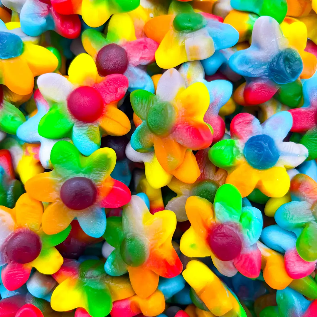 Fleurs multicolores
