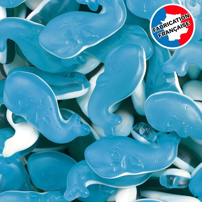 Baleines bleues bicolores